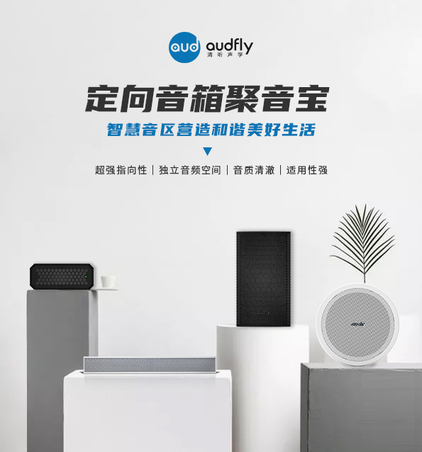 清聽聲學(xué)定向音響聚音寶